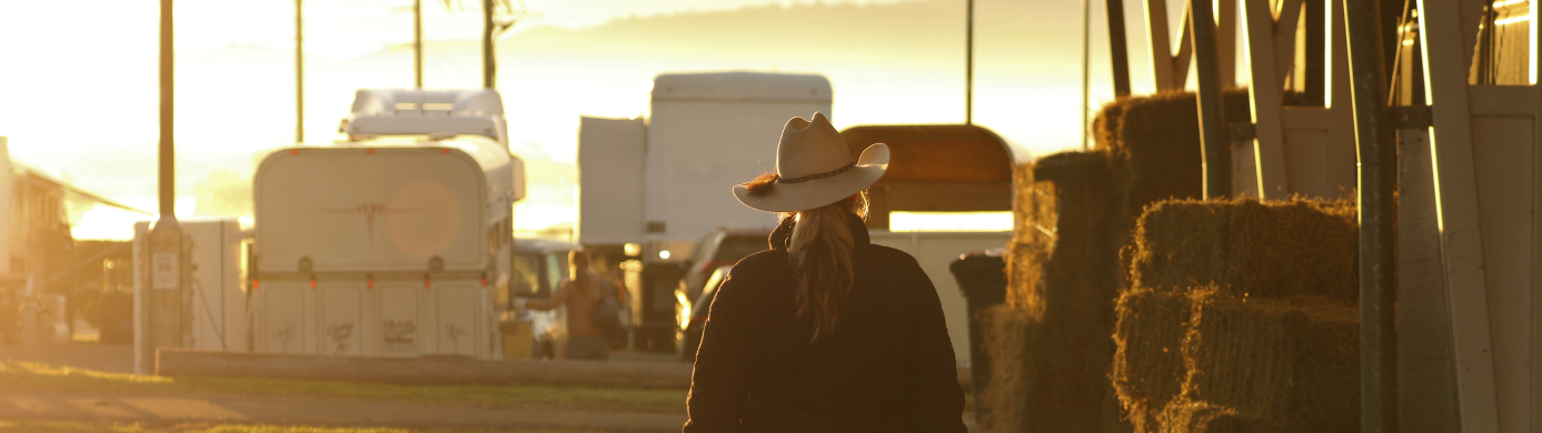 Image of Sunrise across the stables