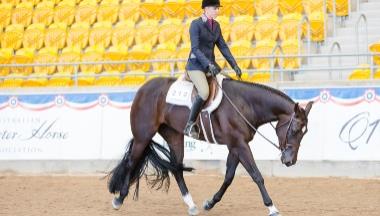 Australian Quarter Horse Association Q21 National Championship Show