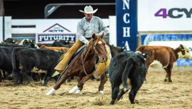 2026 National Cutting Horse Association of Australia (NCHA) Futurity
