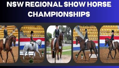 2025 New England and North West Show Horse Association Regional Championships thumbnail