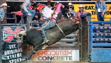 Xtreme Bulls Australia