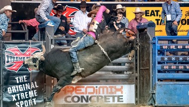 0_9852_23Oct2023143518_Xtreme_Bulls_380_by_215__161121.jpg