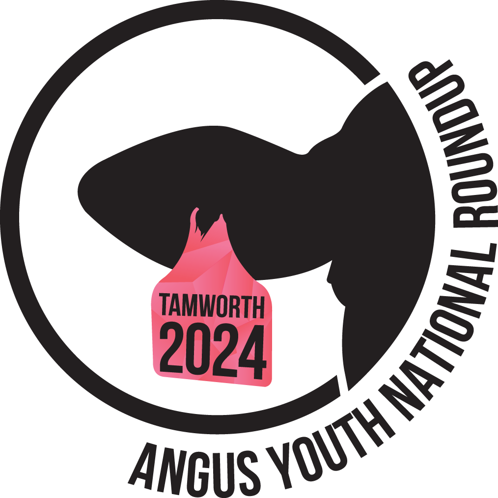 9_9852_16Aug2023103714_RU_logo_-_2024.png