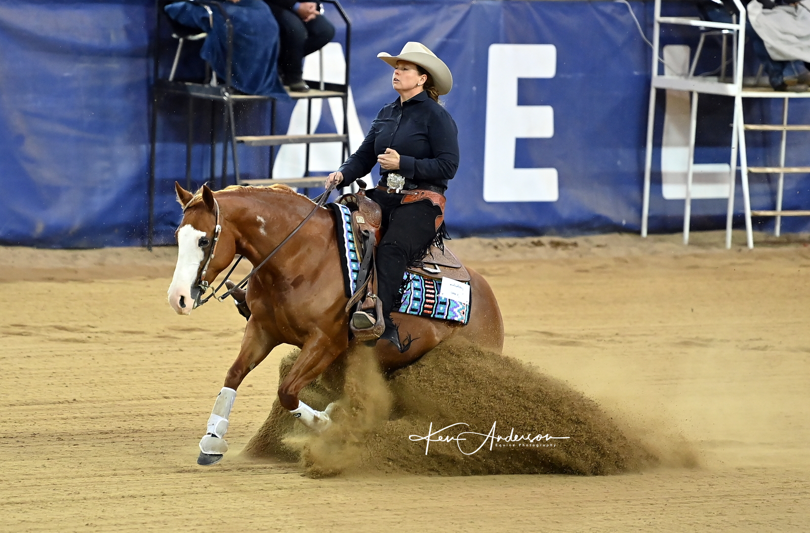9_9852_26May2024112154_reining_aus_website_pic_24.jpg