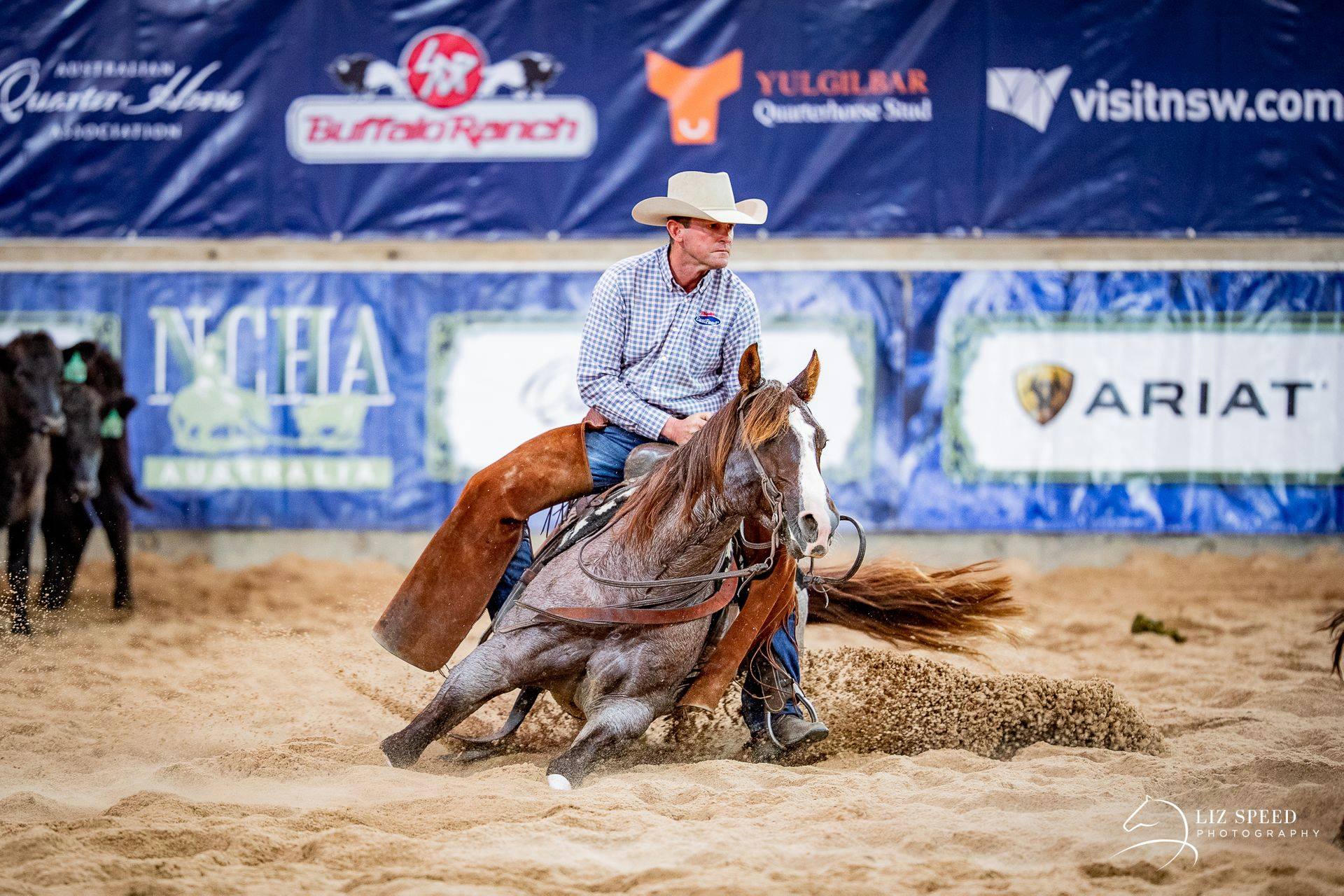 2023 National Cutting Horse Association Futurity Australian Equine